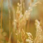 Ha kerekesszékben ülök, akkor az a baj